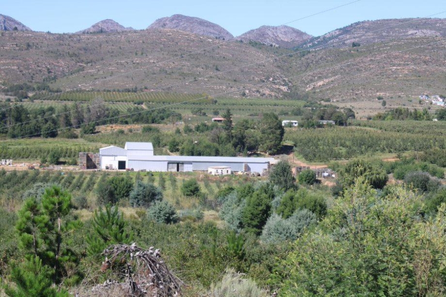 0 Bedroom Property for Sale in Haarlem Western Cape